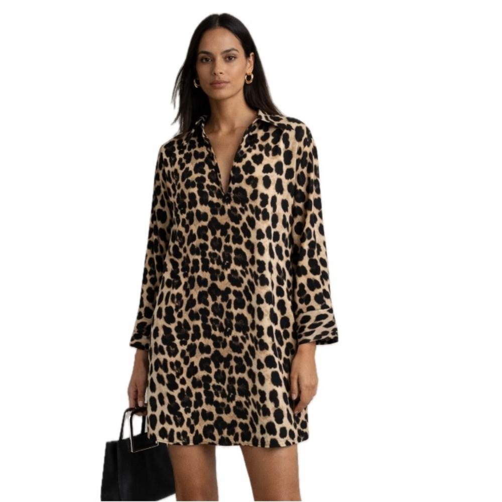 Zara Basic Leopard-Print Shift Dress in Tan and Black